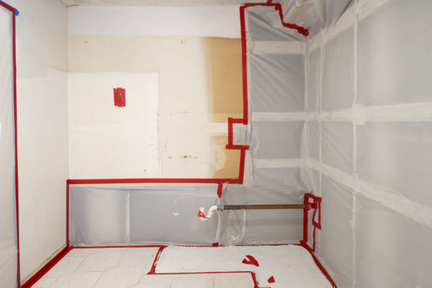 Mold Documentation for Insurance Claims in St Stephens, NC